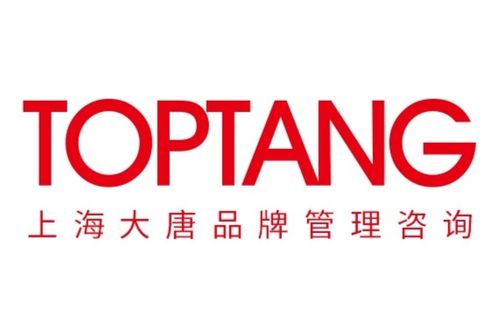 上海大唐品牌管理咨询 赋能企业构建长效品牌价值的专业伙伴